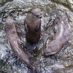 La Burrita Minimarket and Deli